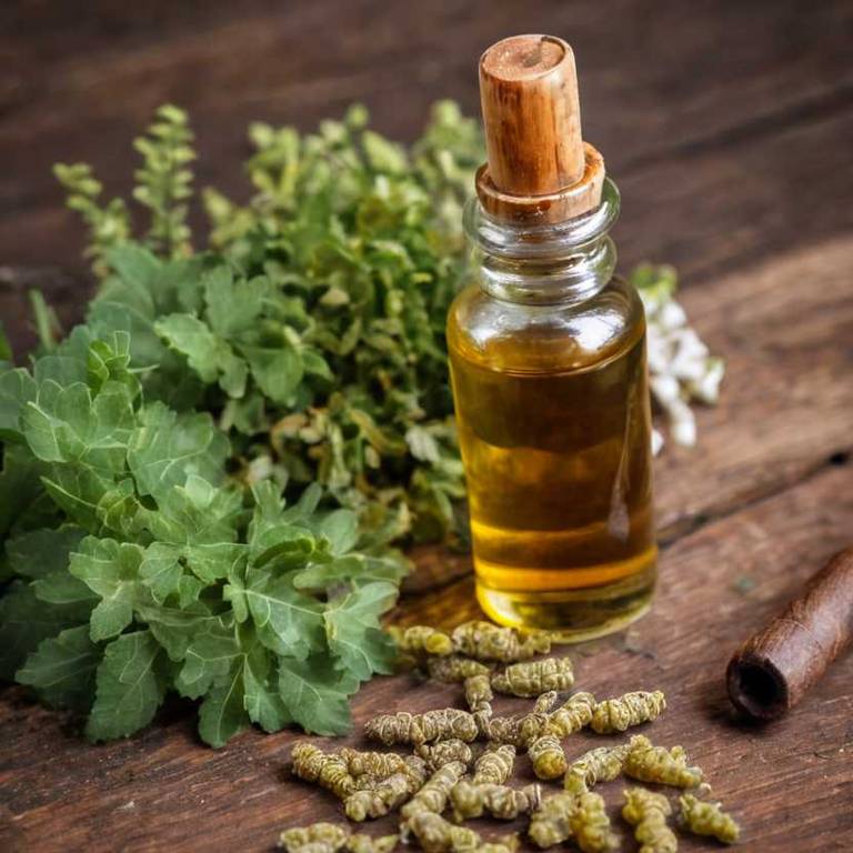 herbal tinctures for bursitis Boswellia serrata