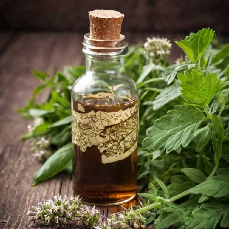 herbal tinctures for chest-congestion Eupatorium perfoliatum