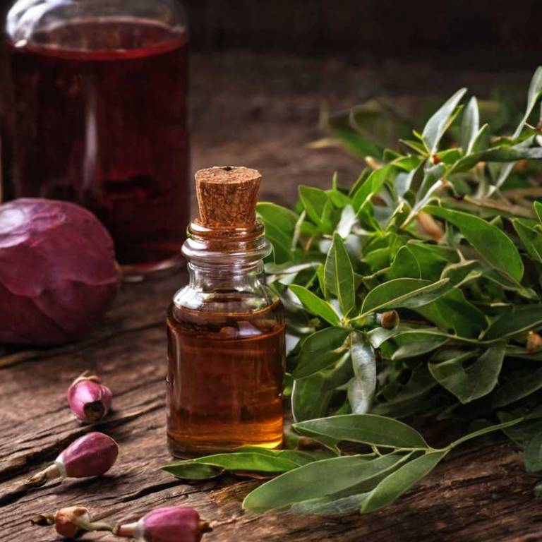 herbal tinctures for chest-congestion overview