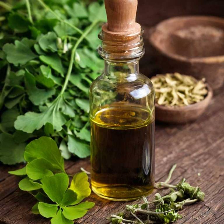 herbal tinctures for chronic-bronchitis Ginkgo biloba