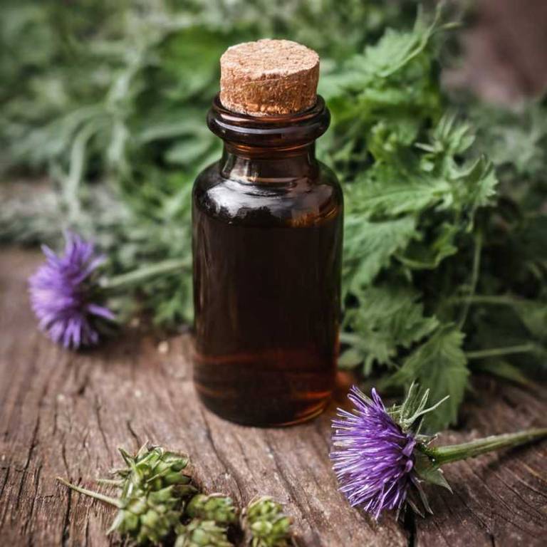 herbal tinctures for cirrhosis Arctium lappa