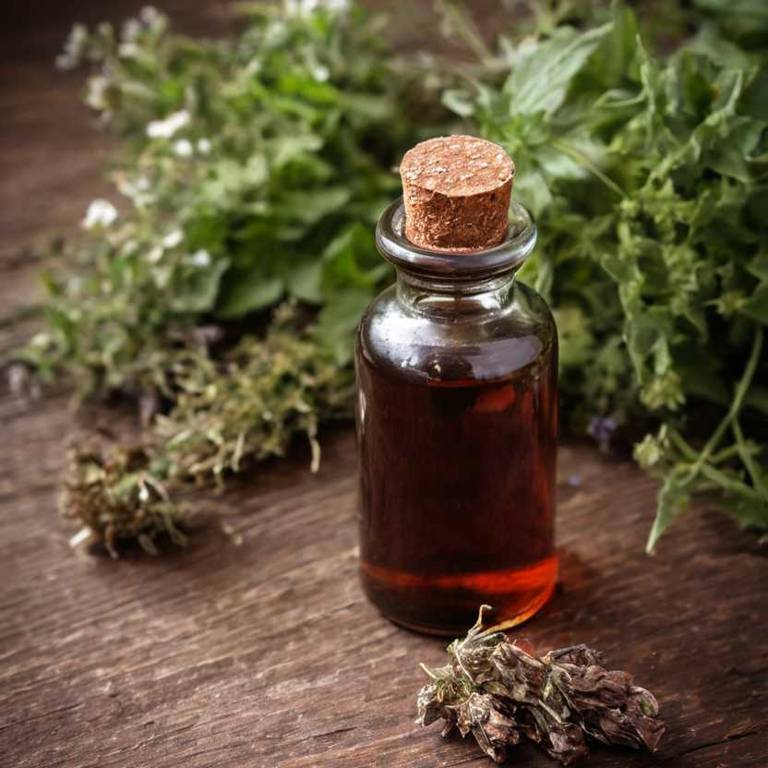 herbal tinctures for congestive-heart-failure Quercus robur