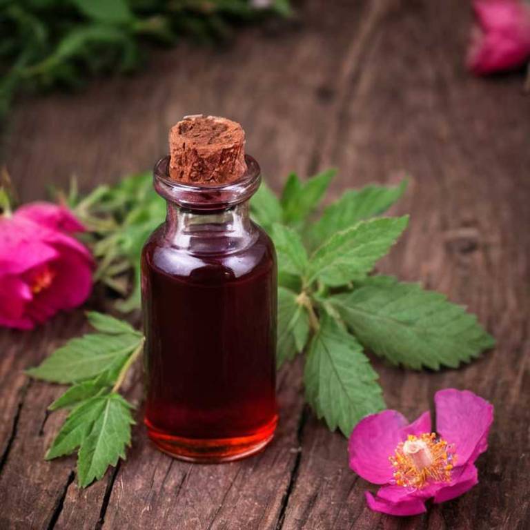 herbal tinctures for congestive-heart-failure Rosa rugosa