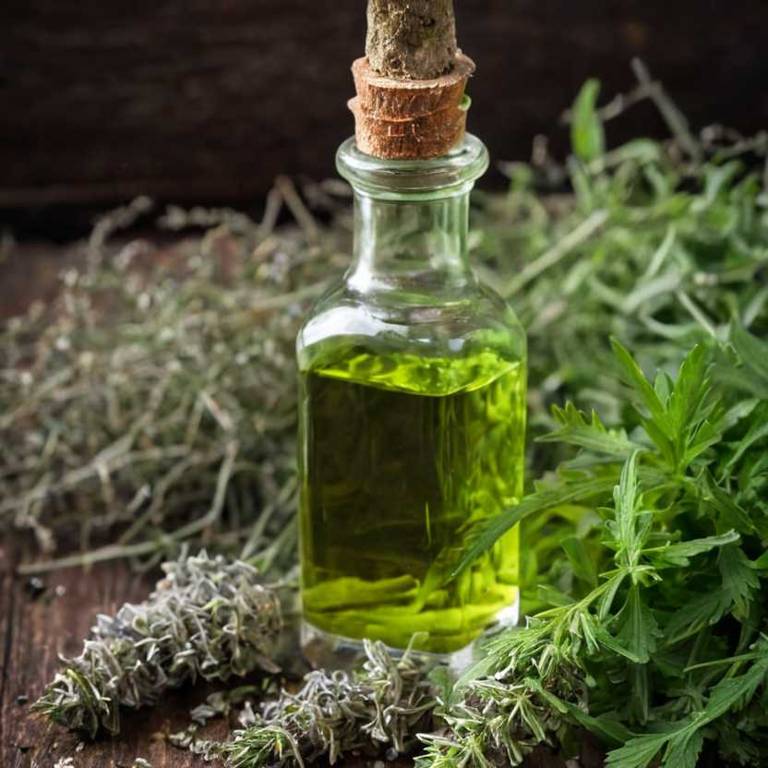 herbal tinctures for cracked-heels Artemisia absinthium