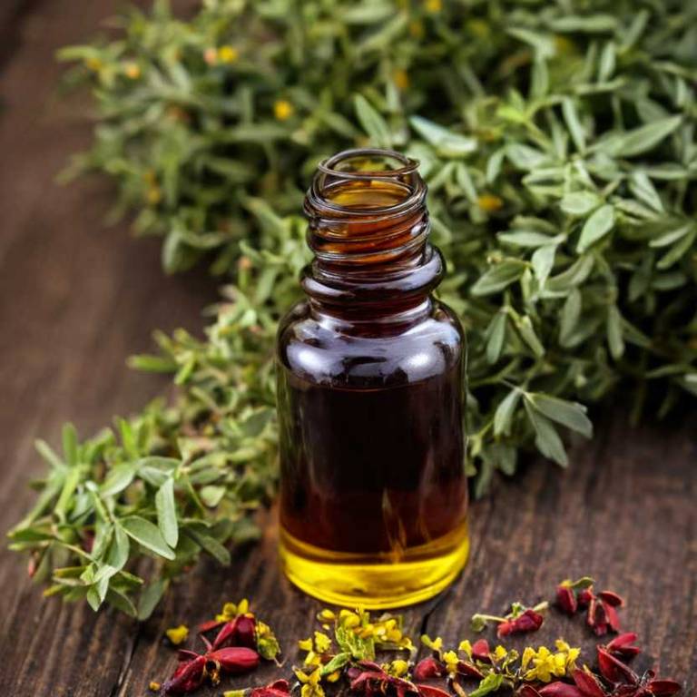 herbal tinctures for dandruff Berberis vulgaris