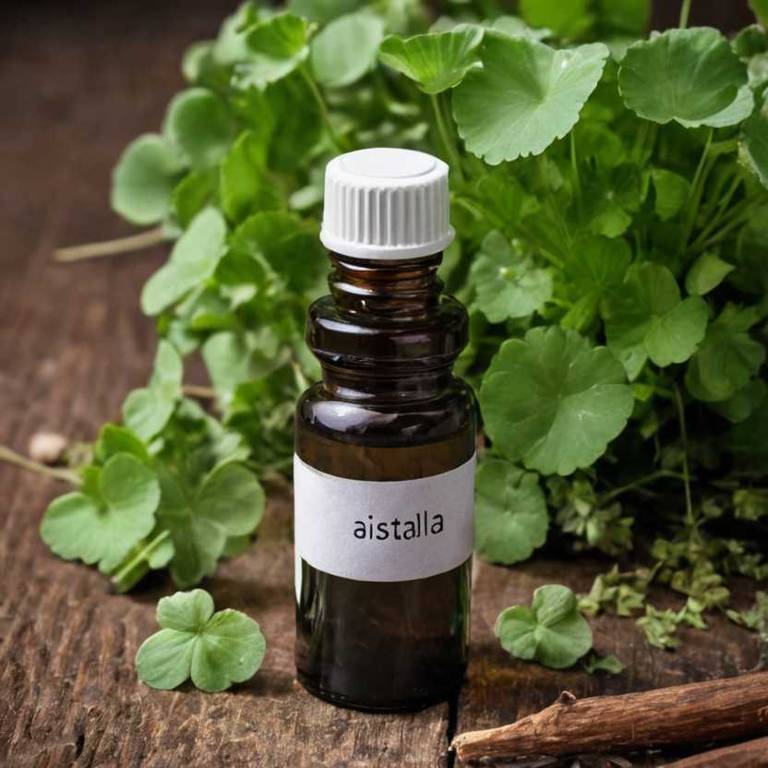 herbal tinctures for dark-circles Centella asiatica