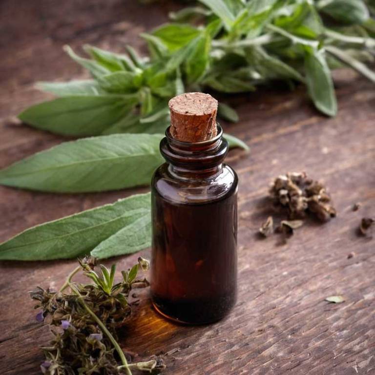 herbal tinctures for dental-plaque Salvia officinalis