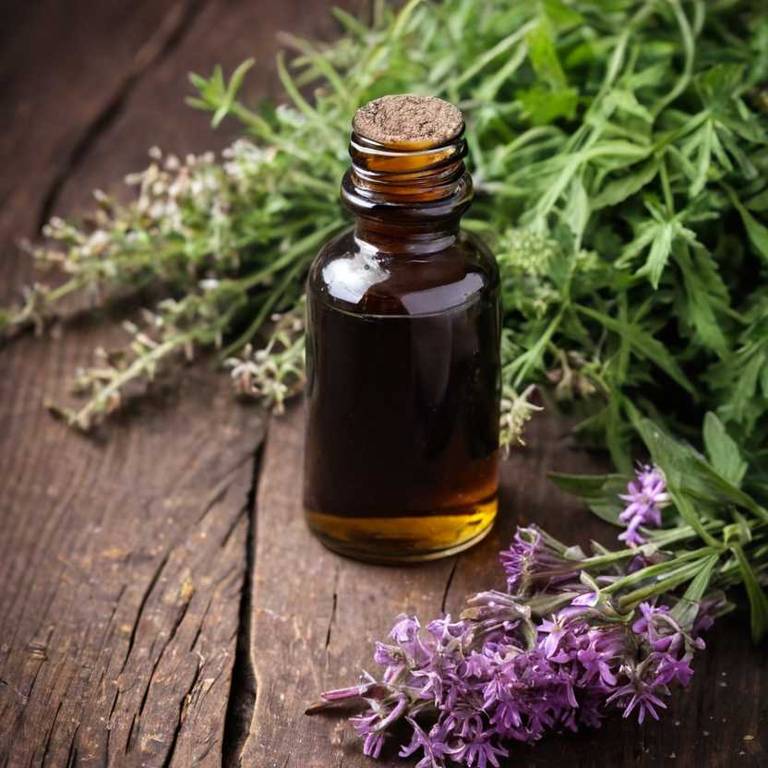 herbal tinctures for depression Valeriana officinalis