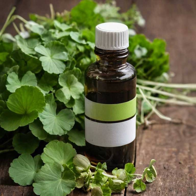 herbal tinctures for difficult-speaking Centella asiatica