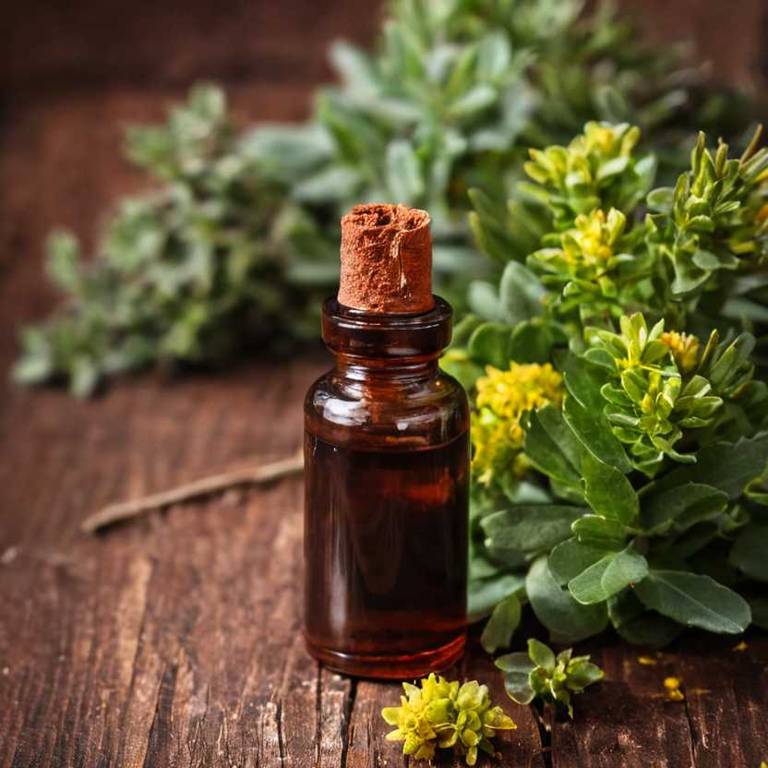 herbal tinctures for difficult-speaking Rhodiola rosea