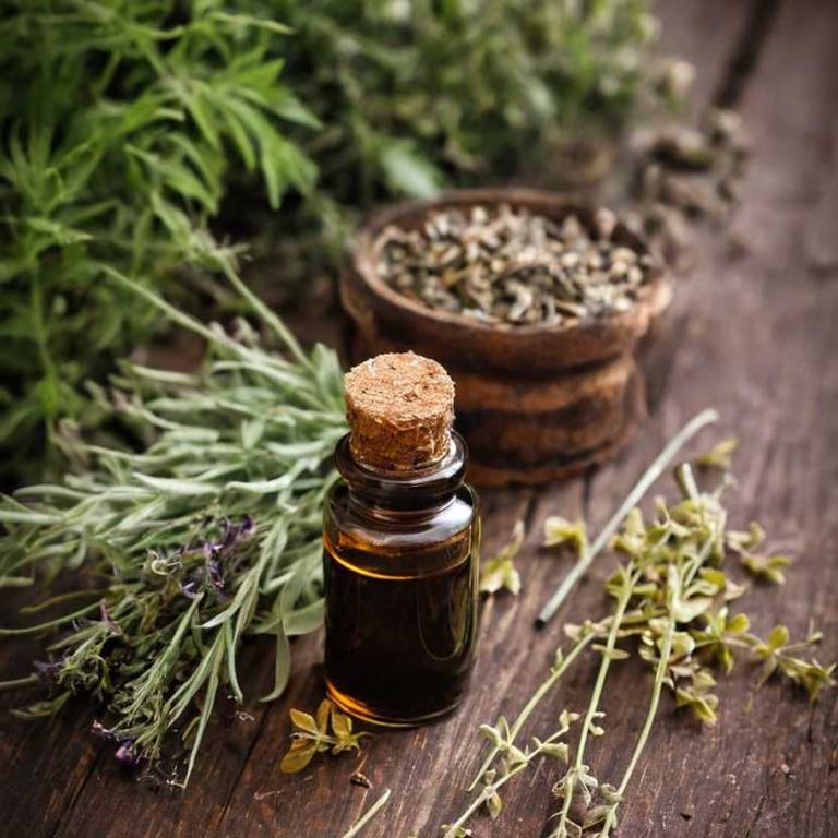 herbal tinctures for dry-throat Glycyrrhiza glabra