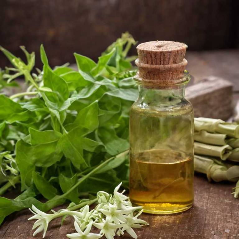 herbal tinctures for ear-blockage overview