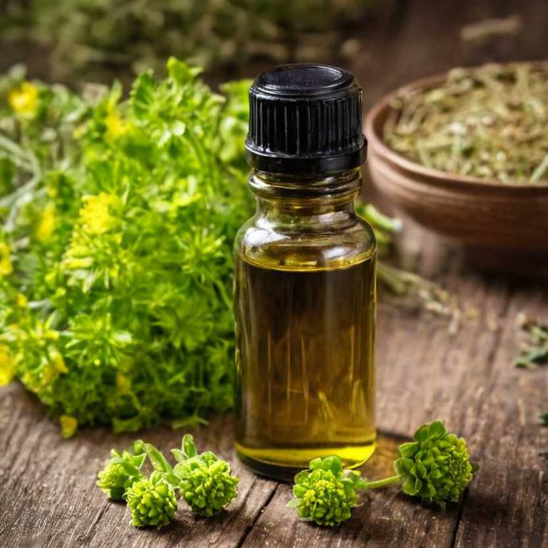 herbal tinctures for ear-infection overview