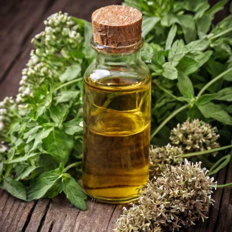 herbal tinctures for earache Eupatorium perfoliatum