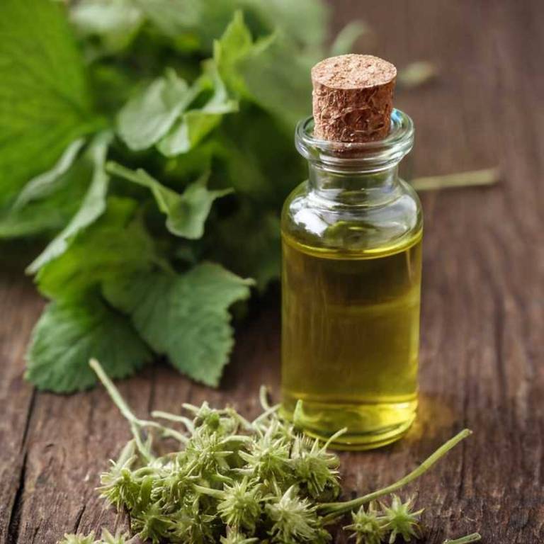 herbal tinctures for eczema Tilia cordata