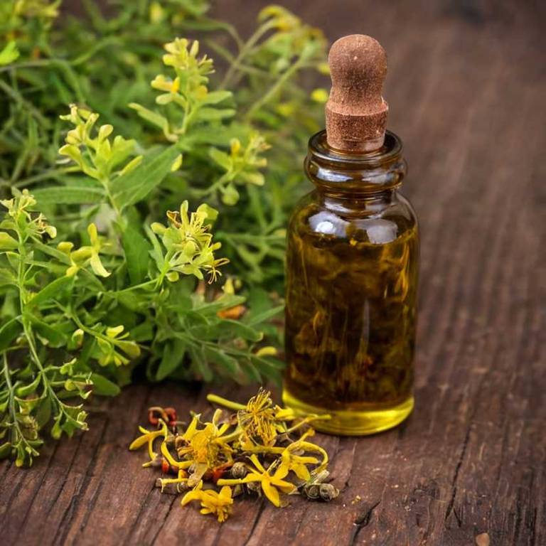 herbal tinctures for endometriosis overview