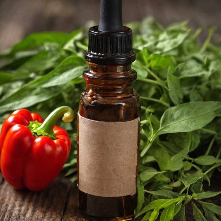 herbal tinctures for endometriosis-pain Capsicum annuum