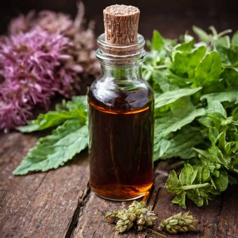 herbal tinctures for endometriosis Rheum rhaponticum