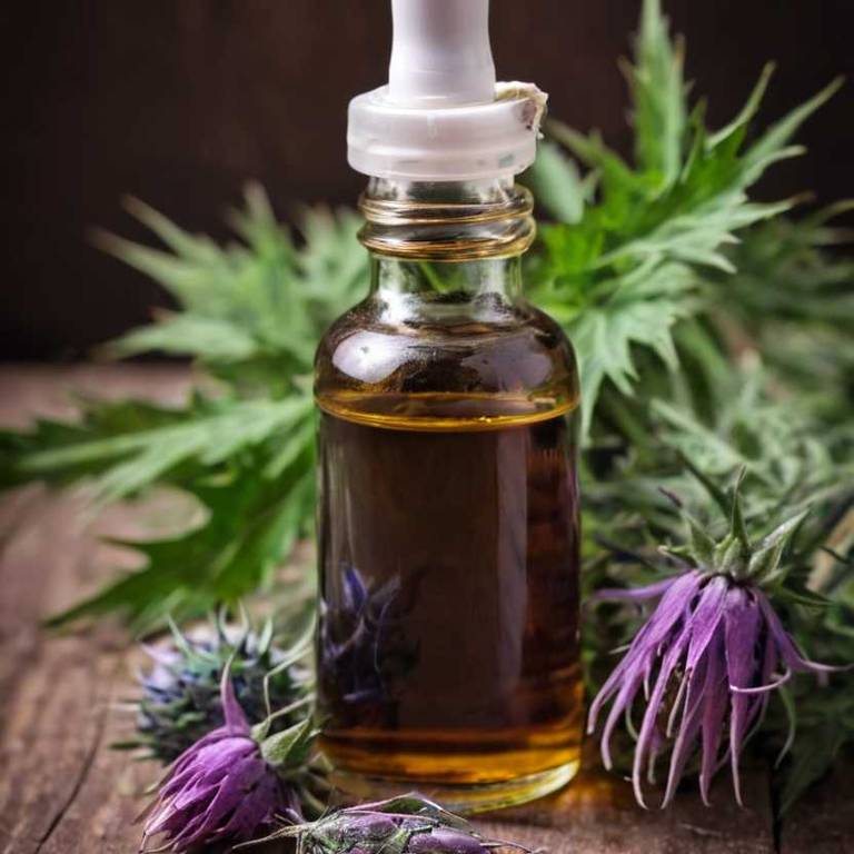 herbal tinctures for endometriosis Silybum marianum