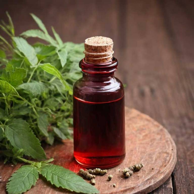 herbal tinctures for enlarged-spleen Ulmus rubra