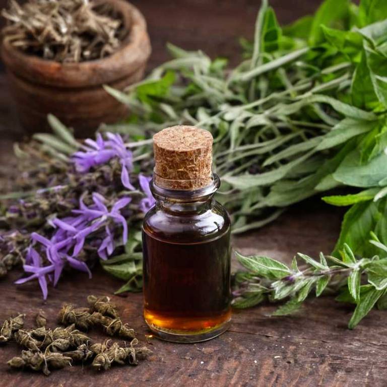 herbal tinctures for eye-irritation Salvia officinalis