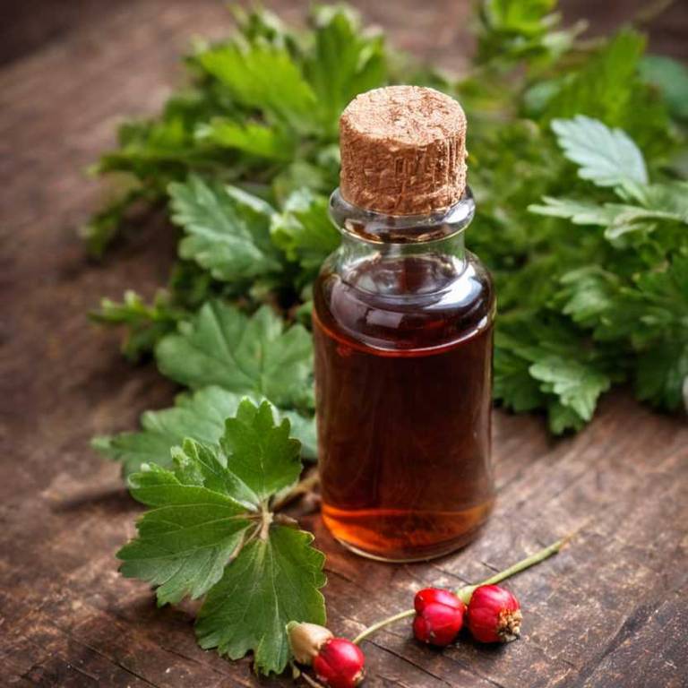 herbal tinctures for eye-strain Crataegus monogyna