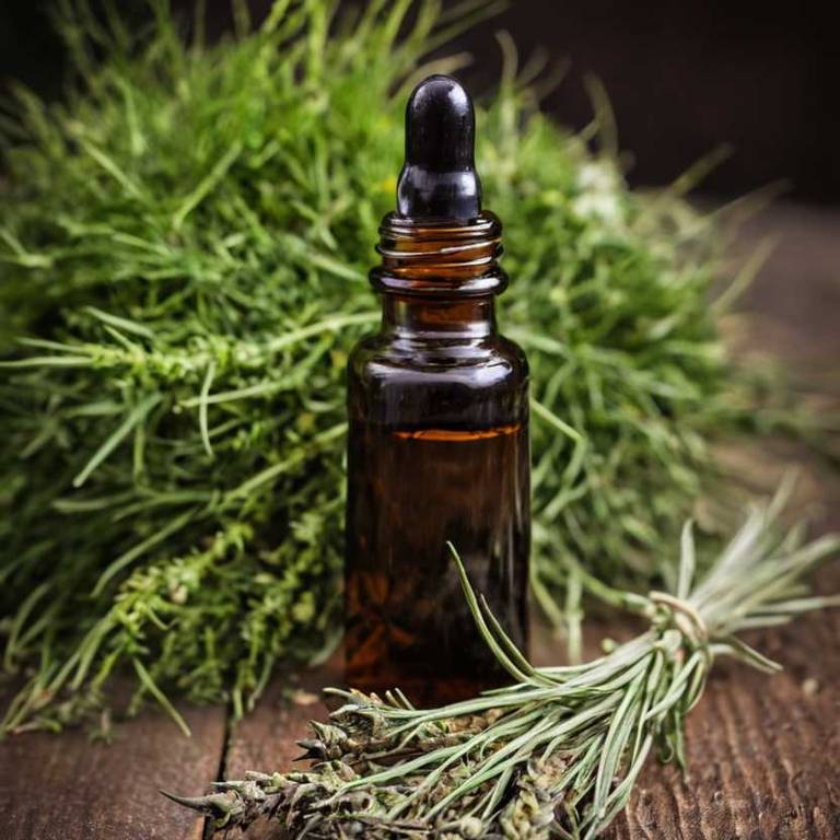 herbal tinctures for eye-swelling Equisetum arvense