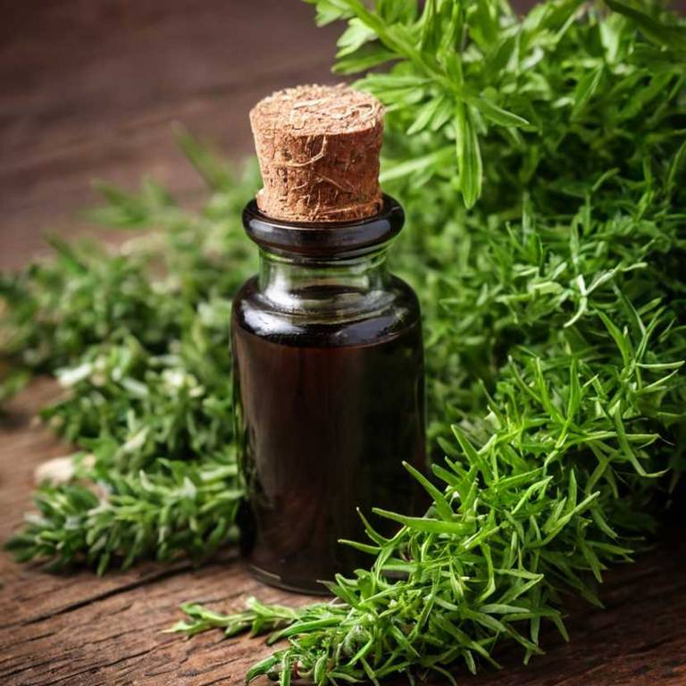 herbal tinctures for eye-swelling overview