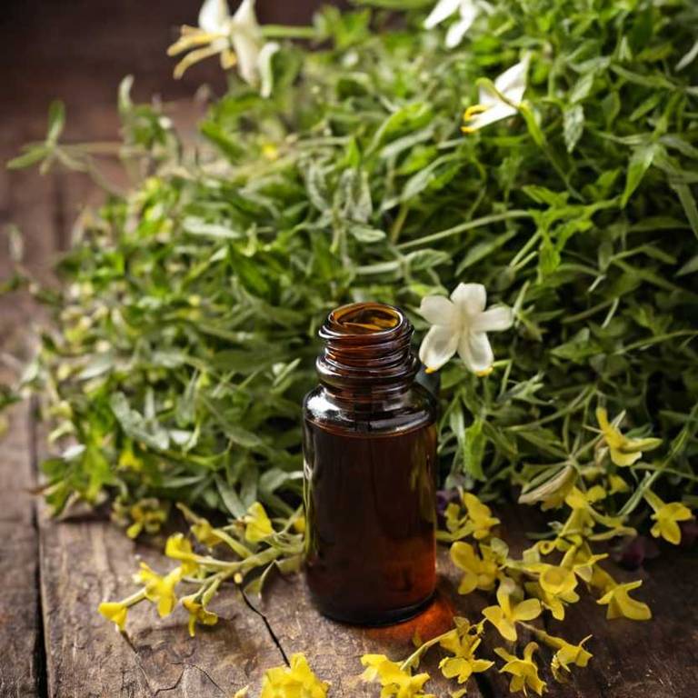 herbal tinctures for feverish-feeling Gelsemium sempervirens