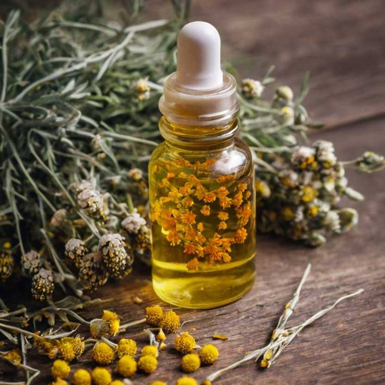 herbal tinctures for foot-pain Helichrysum italicum