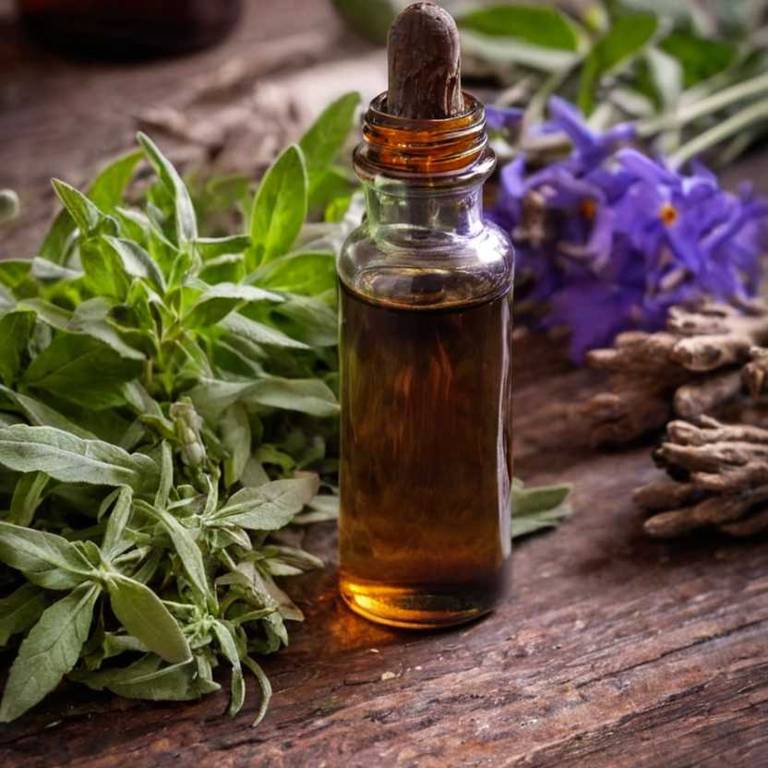 herbal tinctures for gallstones Salvia officinalis