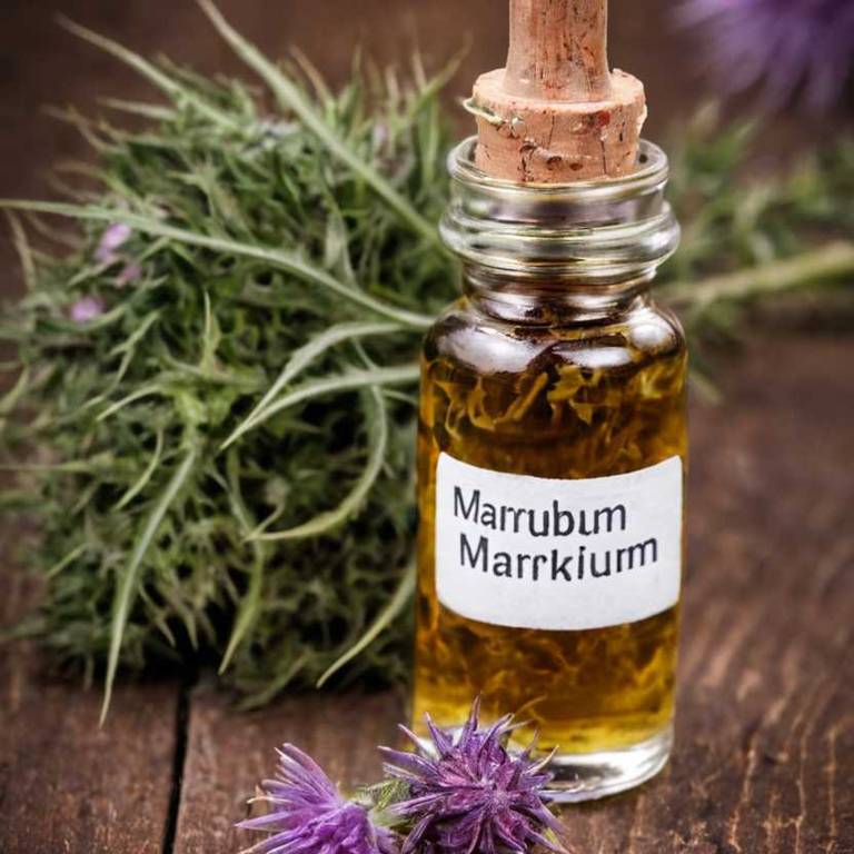 herbal tinctures for gallstones Silybum marianum