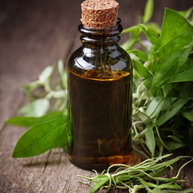 herbal tinctures for gastritis overview