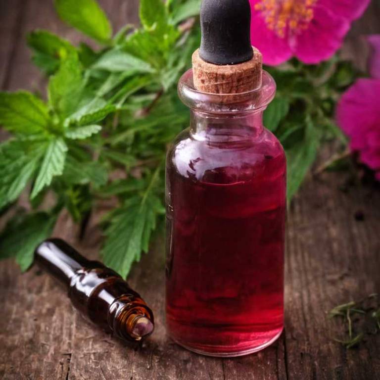 herbal tinctures for gastritis Rosa rugosa