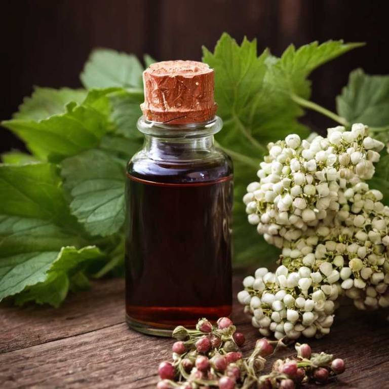 herbal tinctures for glowing-skin overview