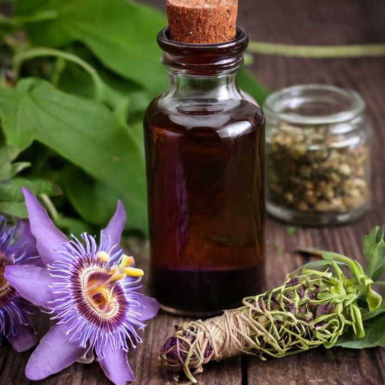 herbal tinctures for grief Passiflora incarnata