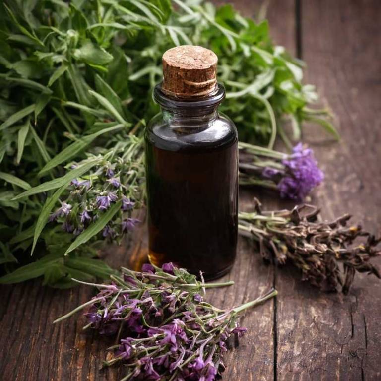 herbal tinctures for grief Valeriana officinalis