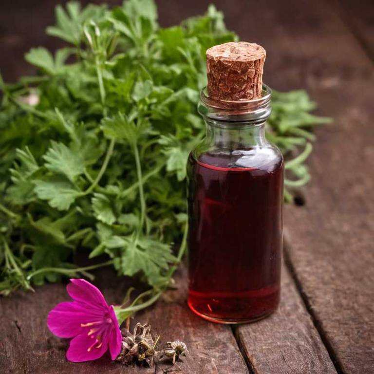 herbal tinctures for high-blood-pressure overview