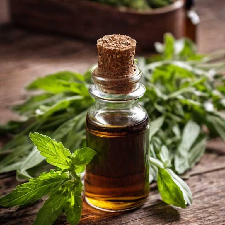 herbal tinctures for high-blood-pressure Stevia rebaudiana