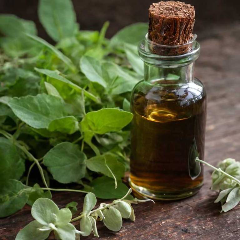 herbal tinctures for high-cholesterol overview