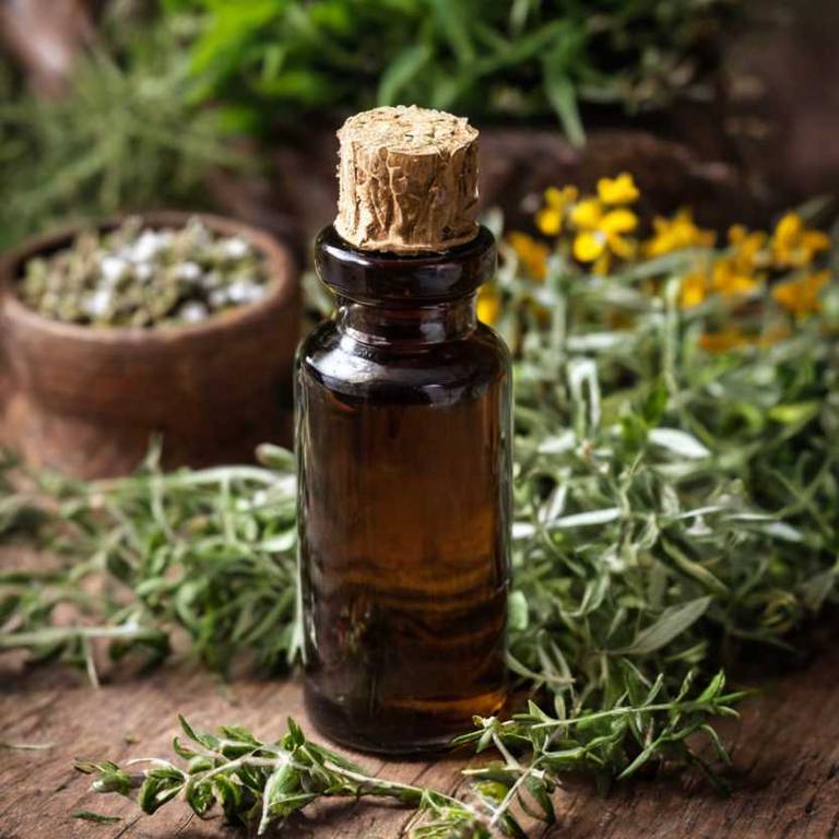 herbal tinctures for hypertension Lithospermum officinale