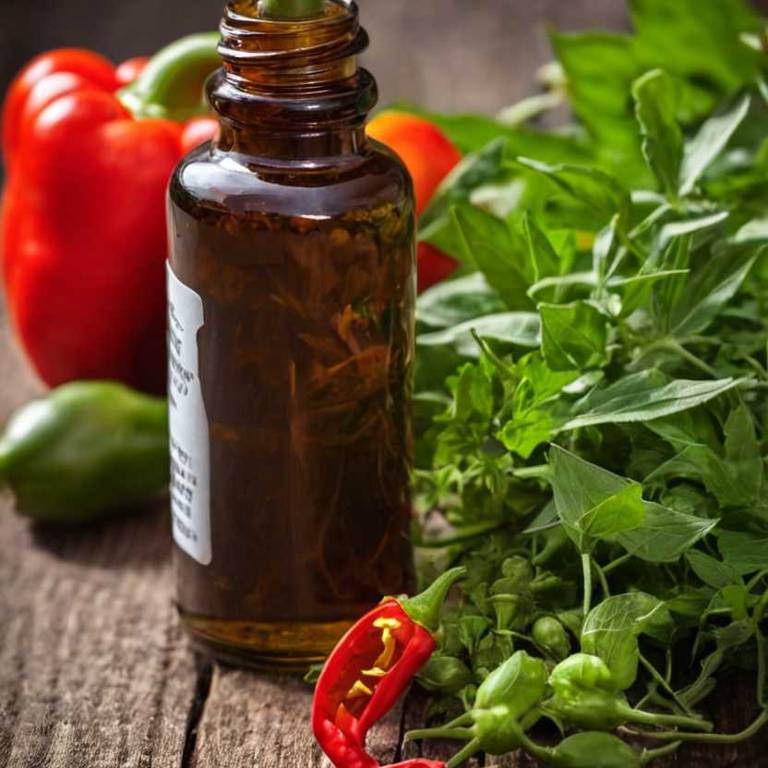 herbal tinctures for hypothyroidism Capsicum annuum