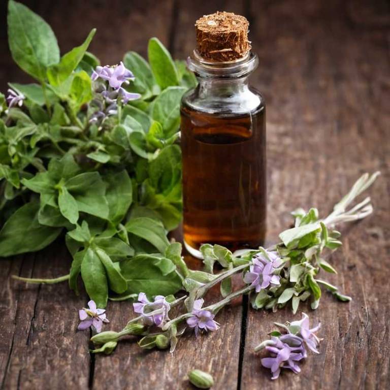 herbal tinctures for hypothyroidism Withania somnifera