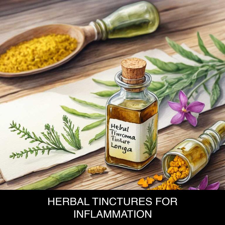 herbal tinctures for inflammation overview