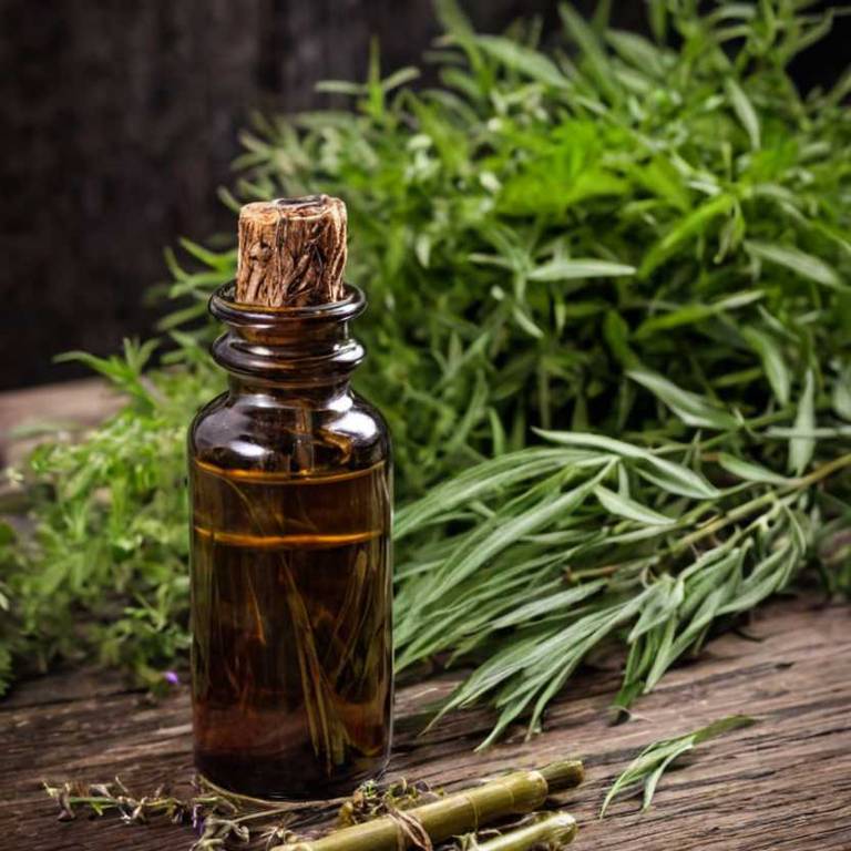 herbal tinctures for inflammatory-bowel-disease overview