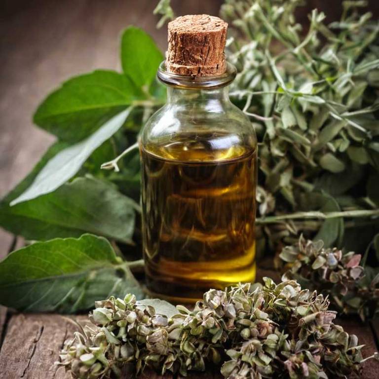 herbal tinctures for itchy-scalp Eucalyptus globulus