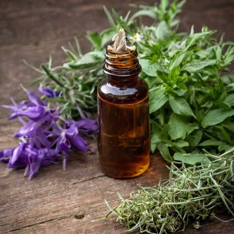 herbal tinctures for itchy-scalp Solanum lycopersicum