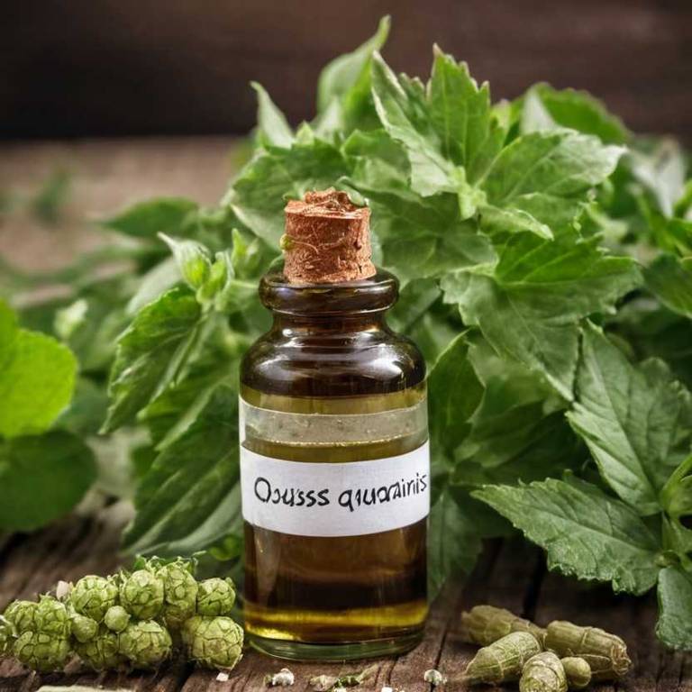 herbal tinctures for joint-pain Cissus quadrangularis