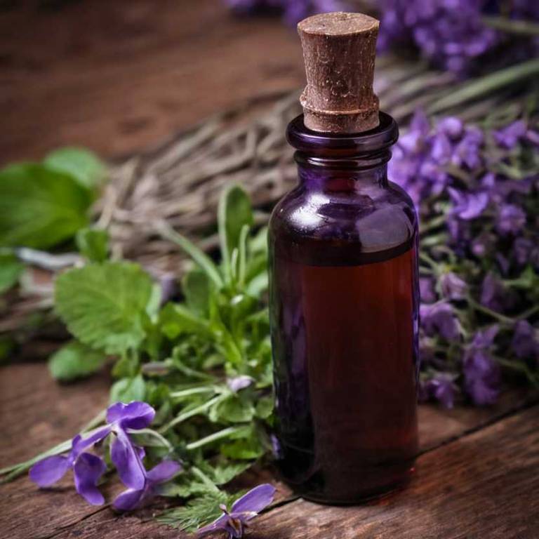 herbal tinctures for joint-pain overview