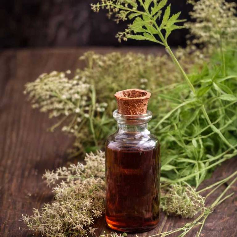 herbal tinctures for knee-swelling Filipendula ulmaria